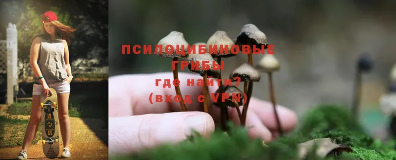 Псилоцибиновые грибы Magic Shrooms  ОМГ ОМГ ссылки  Медынь 